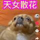 大树27388头像