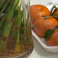 科技侃世界头像