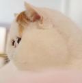 一个包子214头像