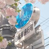 心_懿头像