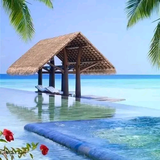 康宁86924555头像