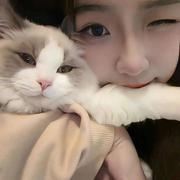 畢个耶的个人资料头像