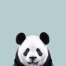 Leon同学78564的个人资料头像