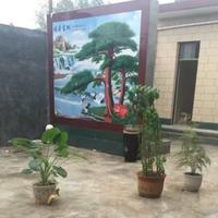 梧桐树777888999头像