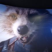 火箭356的个人资料头像