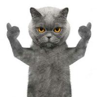 爱看小汽车头像