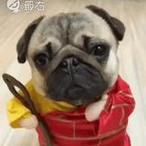 你的旺仔牛奶唐头像