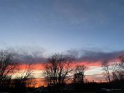 Muirhead的个人资料头像