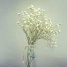 EO的个人资料头像