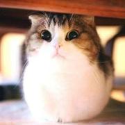 happyharvey的个人资料头像