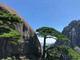 Live加油头像
