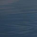 串串五花肉的个人资料头像