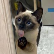 辰木可的个人资料头像