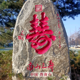 宫保大虾球头像