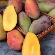 麦子2020的个人资料头像