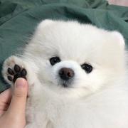 fs的个人资料头像