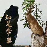 用户3455741238679头像