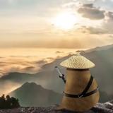 寻雾启示638头像