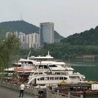 快乐一天43769头像