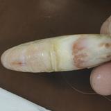 我爱萝卜778899头像