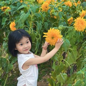 小柒语舒头像