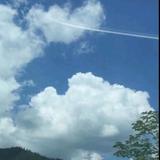 诚信头像