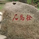石拴马头像