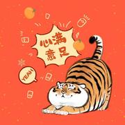 安卓小白的个人资料头像