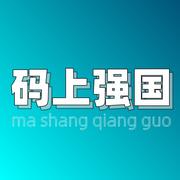 码上强国的个人资料头像