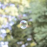 萌虎221头像