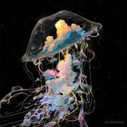 哈哈哈哈哈嘿的个人资料头像