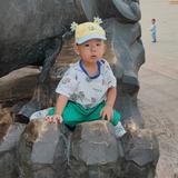 高级豆浆Z3m头像