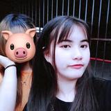 做你怀中猫头像