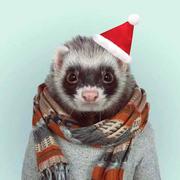 Leon428的个人资料头像