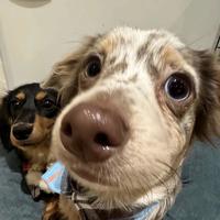 元气海洋mDu头像