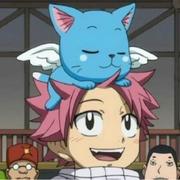 寻雾启示的个人资料头像