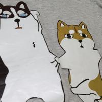 田兔先生头像