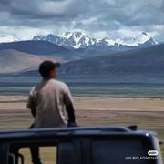 Vexor的个人资料头像