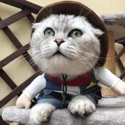 胜哥的二哥的个人资料头像