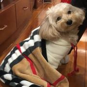 czox_zovlx的个人资料头像