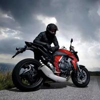 大西瓜郭弟头像