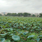 新手车主01头像