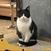 ChristopherGong头像