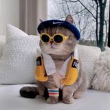 橘子味的小橘猫呀头像