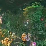 温柔钢笔dR头像