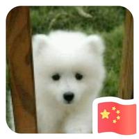 看透别说透498头像