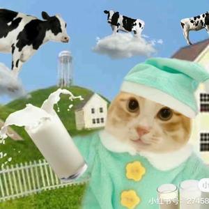 宇宙无敌猫猫酱头像