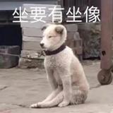 小叶YC头像