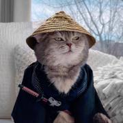 ZRJ的个人资料头像