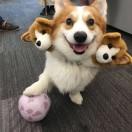 biu同志的个人资料头像